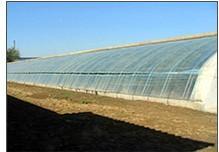 生態(tài) 農(nóng)業(yè) 工程建設(shè)的公司請(qǐng)選擇青州市憶美園林溫室,生態(tài) 農(nóng)業(yè) 工程建設(shè)的公司請(qǐng)選擇青州市憶美園林溫室生產(chǎn)廠家,生態(tài) 農(nóng)業(yè) 工程建設(shè)的公司請(qǐng)選擇青州市憶美園林溫室價(jià)格